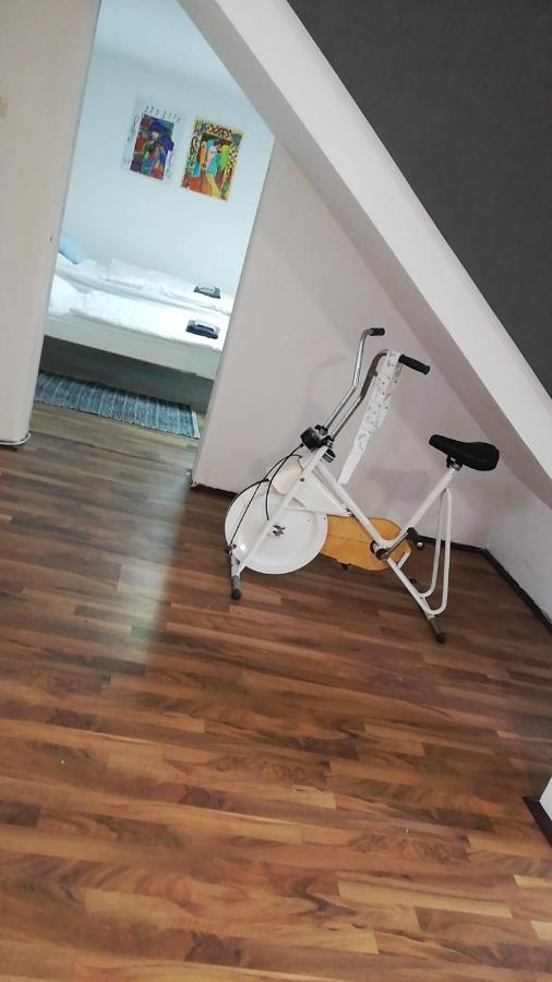 Apartman Romy Pančevo Rum bild