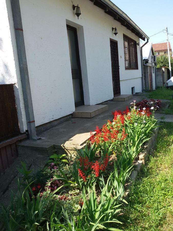 Apartman Romy Pančevo Exteriör bild